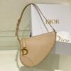 Christian Dior CD Saddle Rodeo Bag Pouch With OG Box & Dust Bag (379 Apricot)